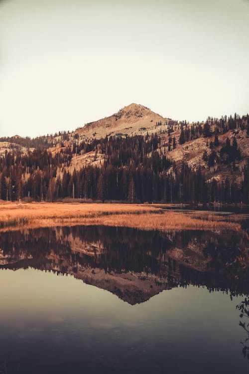 Calm lake Near a Brown Mountain
