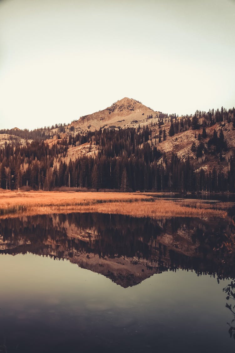 Calm Lake Near A Brown Mountain