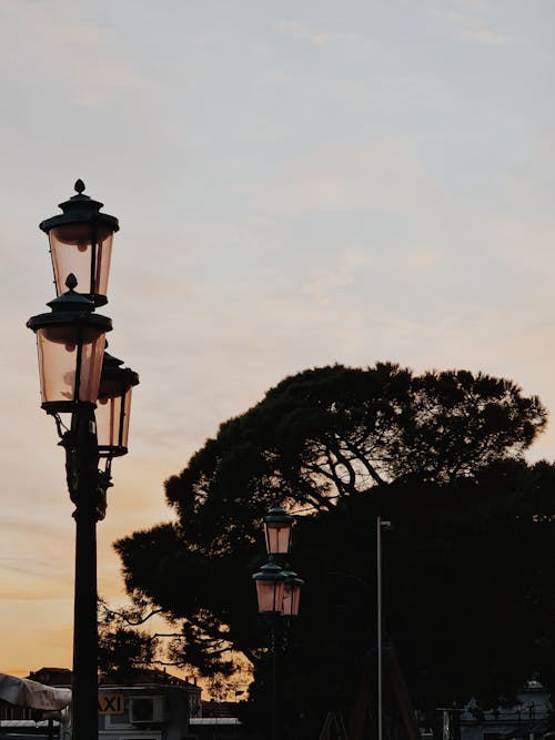 Základová fotografie zdarma na téma pouliční lampy, vertikální záběr, záběr z nízkého úhlu