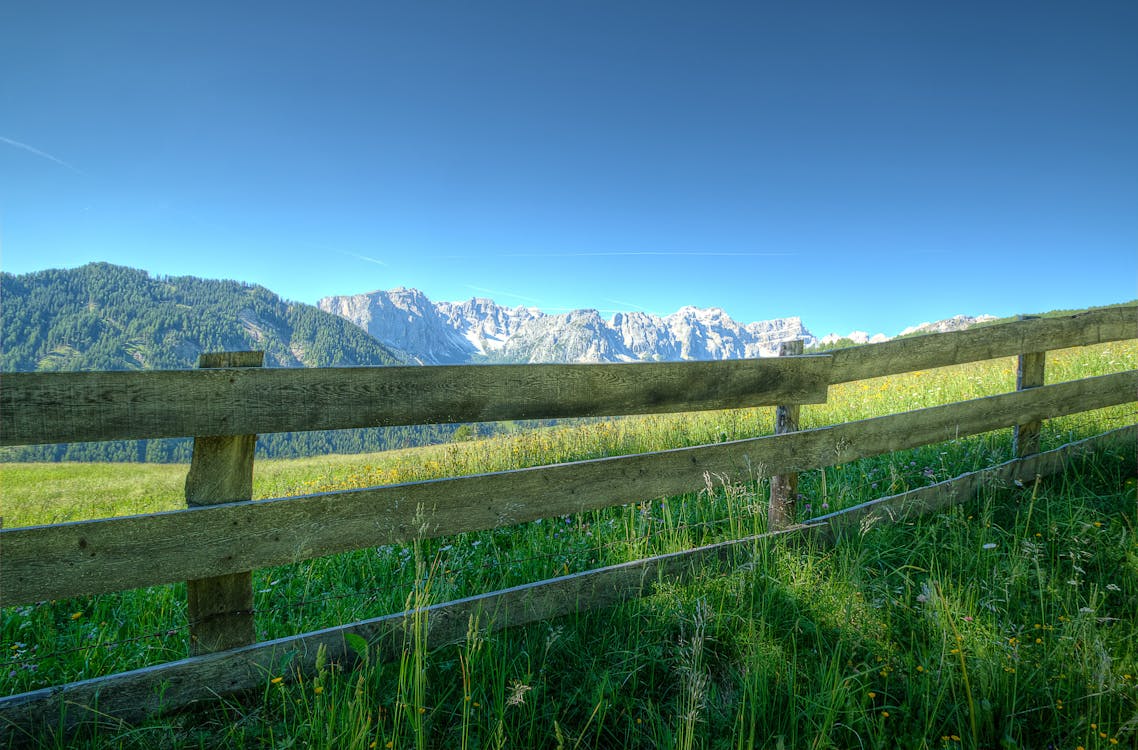 Základová fotografie zdarma na téma čisté nebe, dřevěný plot, dřevo