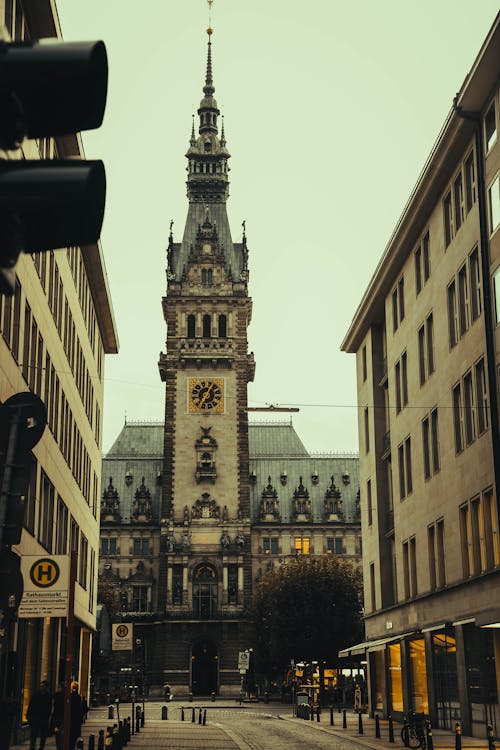 A View of the Hamburg City Hall