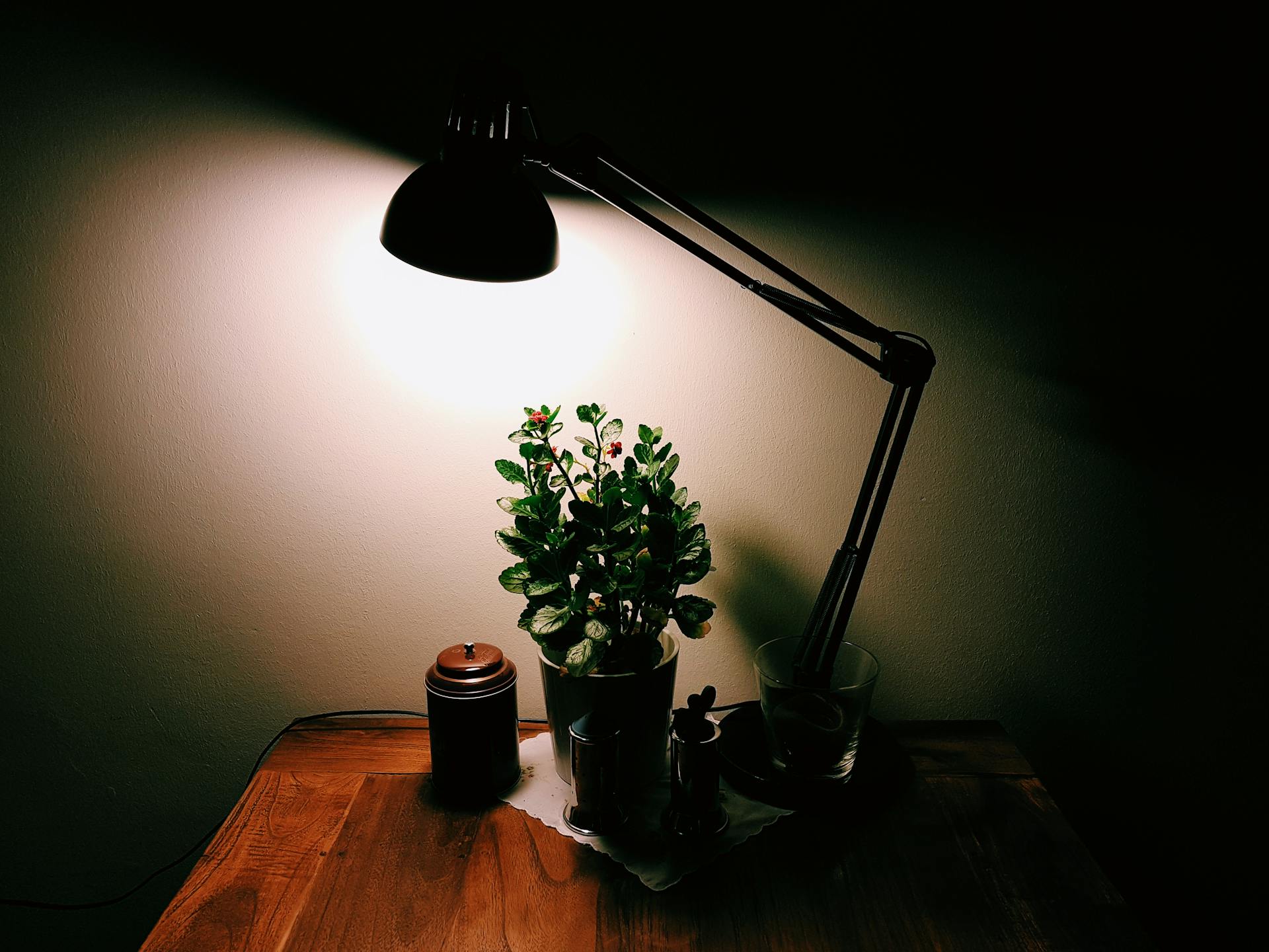 A warm, inviting desk scene with a bright lamp and potted plant at night.