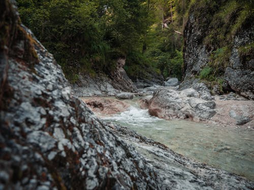 Základová fotografie zdarma na téma kameny, les, proud vody