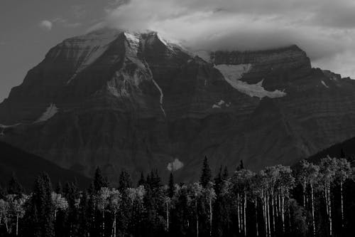 Kostenloses Stock Foto zu bäume, berge, black and white background