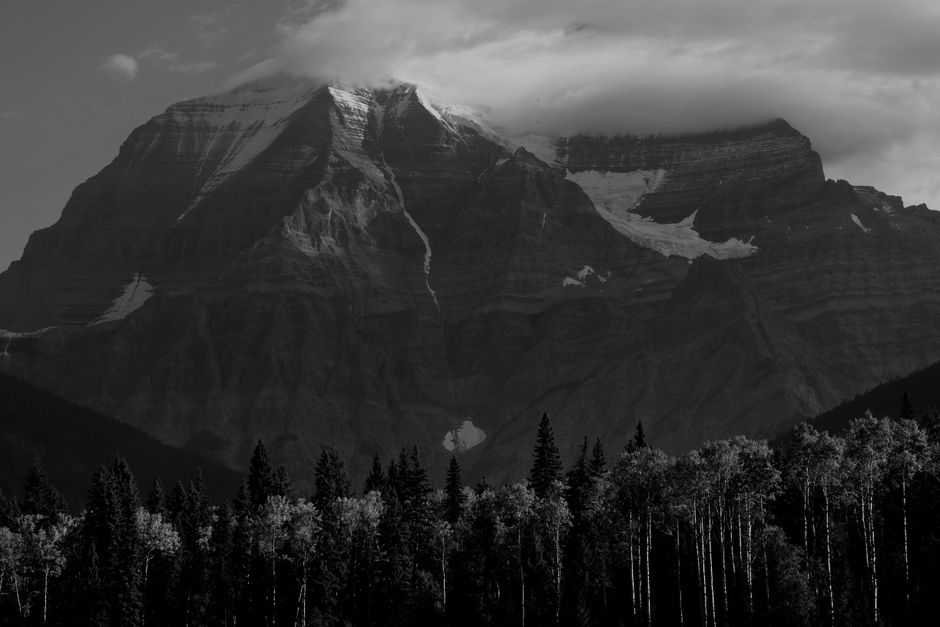 Black and white image of a majestic mountain landscape with pine trees in BC, Canada.