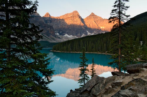 Green Pine Trees Near Lake and Mountains