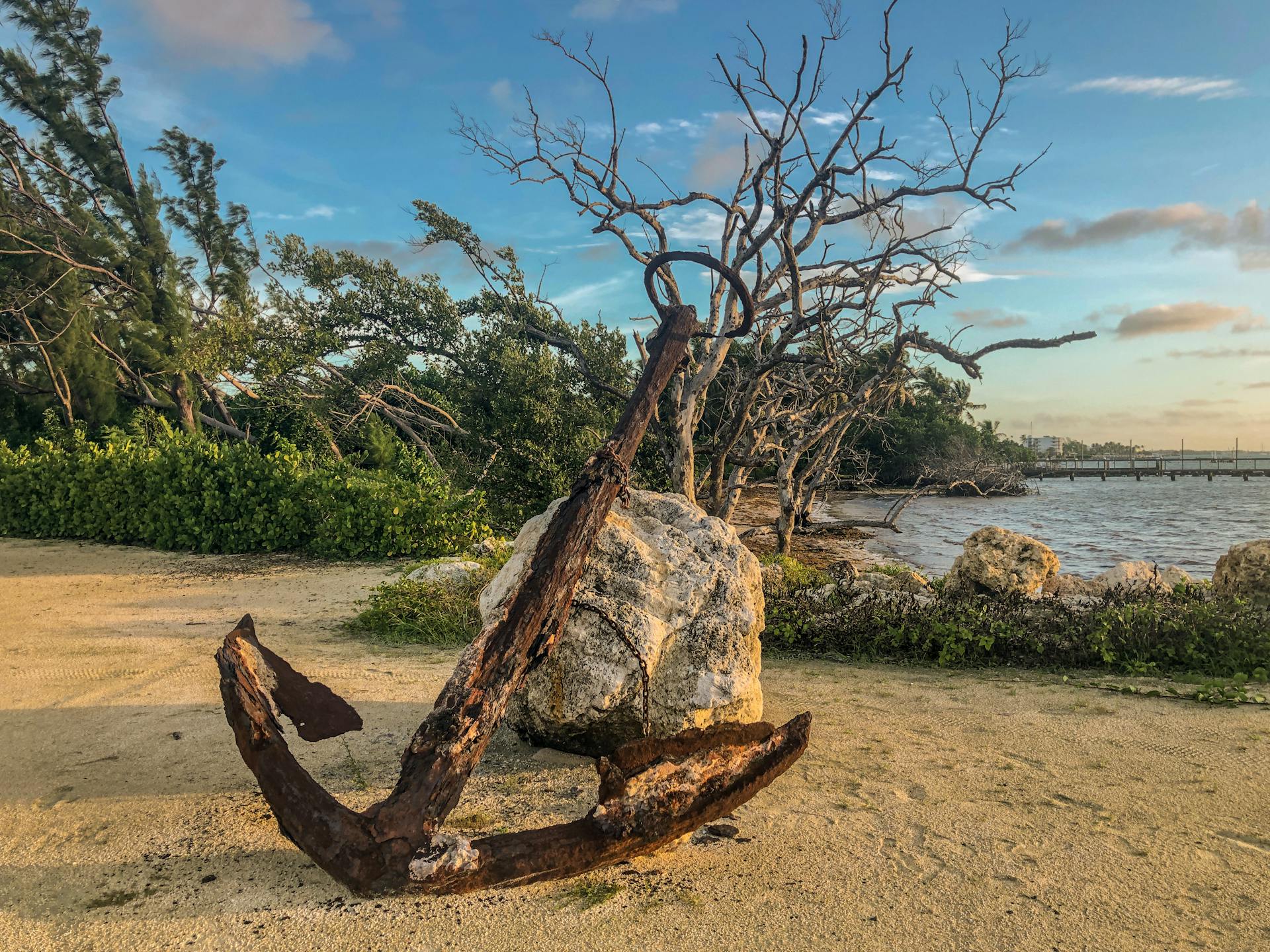 A rusty anchor sits by the shore with bare trees and rocks in Islamorada, FL.