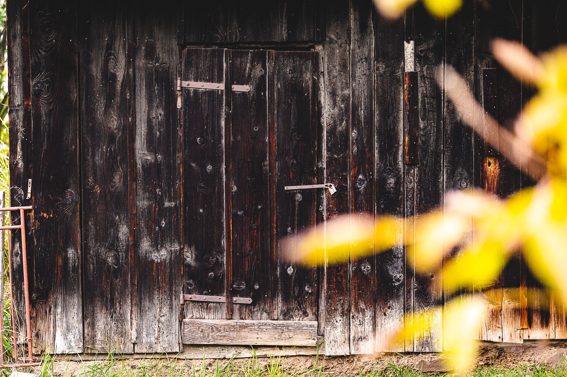 A weathered wooden door with rusty hinges on an old barn wall, surrounded by autumn foliage.