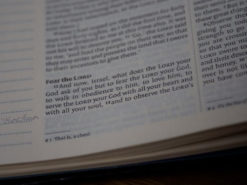 Free Close-up Photo of Holy Scriptures Stock Photo