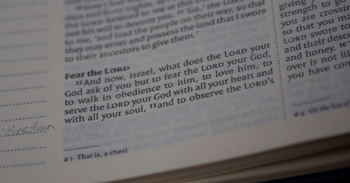 Scripture Pages Photo Close-up Photo of Holy Scriptures · Free Stock Photo