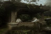 White Tigers on Concrete Shelter