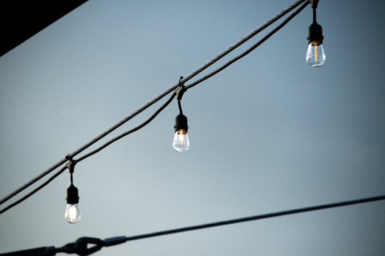 Photo Of Hanging Light Bulbs 