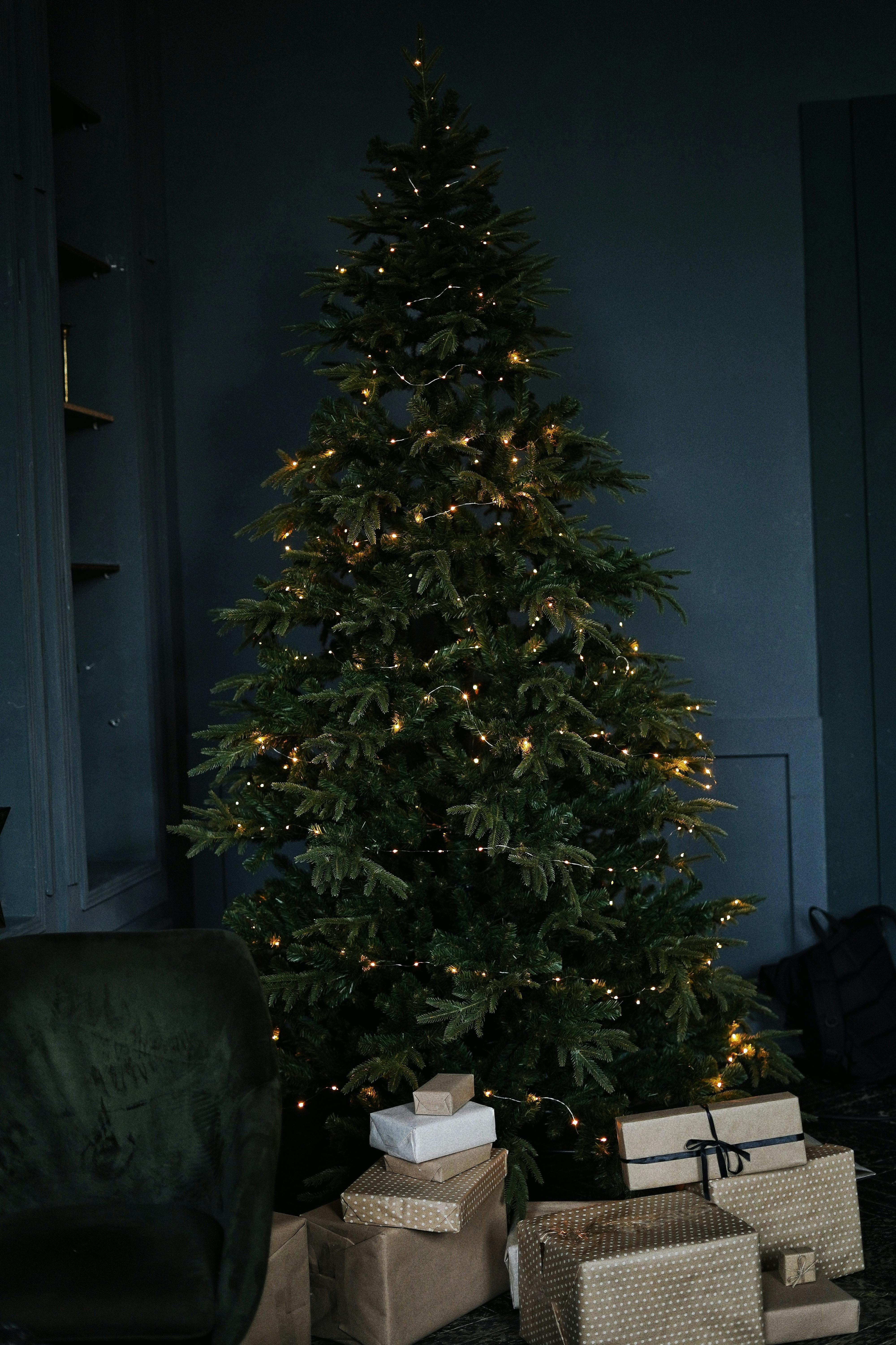 Bunch of boxes with present under tall dark green Christmas tree decorated with glowing yellow lights