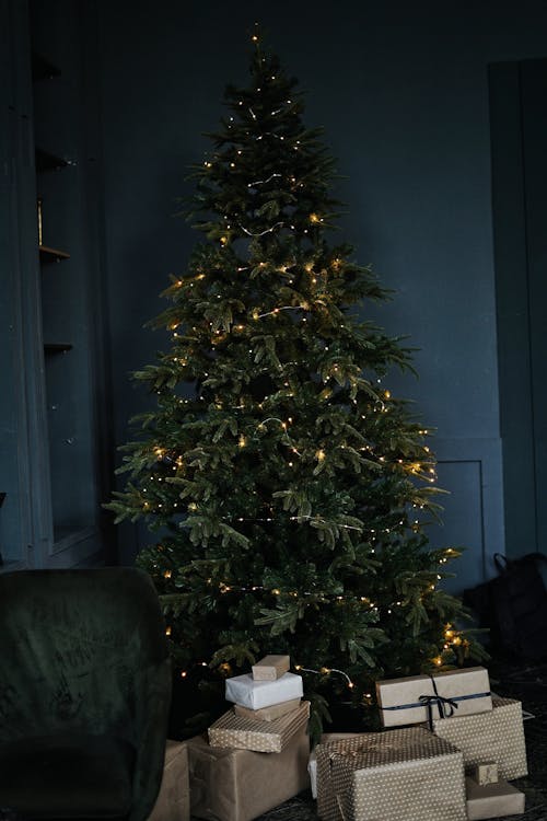 Free Giftboxes under tall festive green tree in room Stock Photo