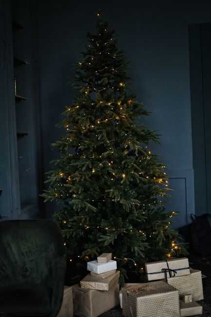 Bunch of boxes with present under tall dark green Christmas tree decorated with glowing yellow lights