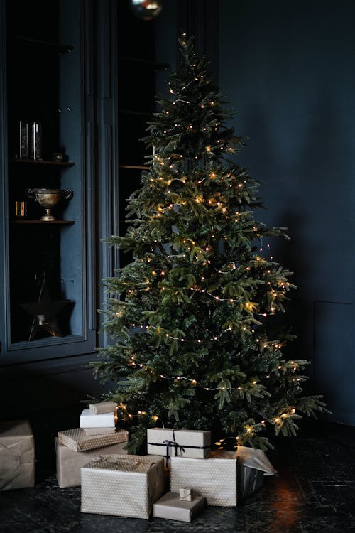 En Caja Bajo árbol Festivo Por Pared Azul