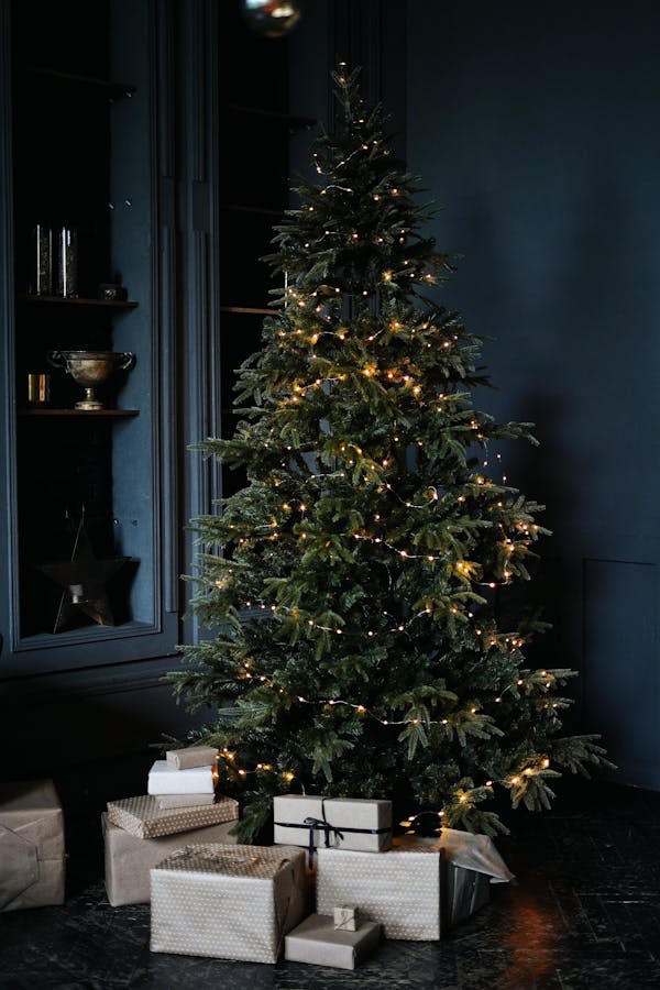 Tall green Christmas tree decorated with small glowing garlands and surrounded by shelves and bunch of boxes with gifts in dark room