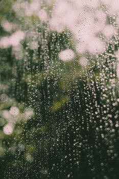 Through glass raindrops on wet window during rain in green garden at daytime