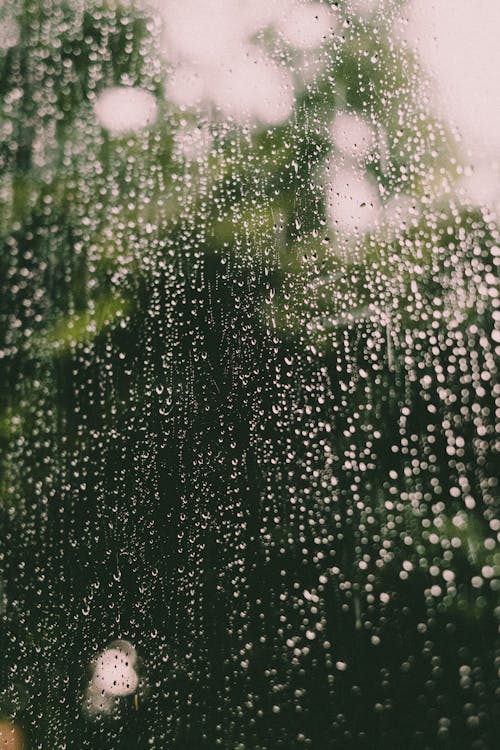 Droplets on wet glass surface against blurred greenery