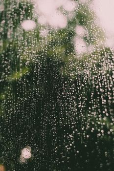 Through glass drops of water against blurred green branches with green leaves at daylight