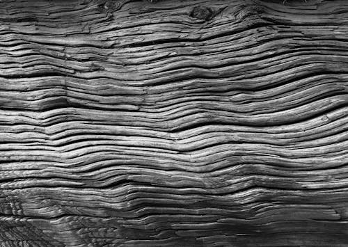 Closeup of full frame black and white view of textured wooden surface with cracks