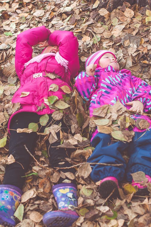 Free Kids in Pink Jackets Lying Down on Autumn Leaves Stock Photo
