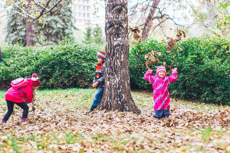 Children Playing In Autumn Leaves 