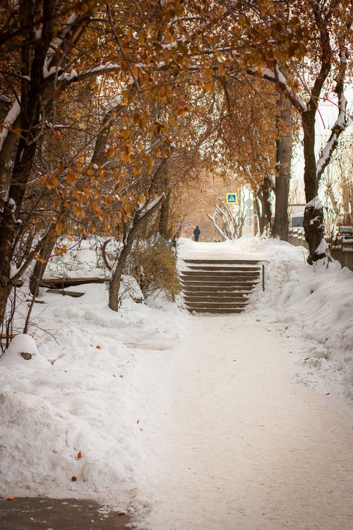 Free Snow-covered pathway through a park with bare trees and stairs in winter. Stock Photo