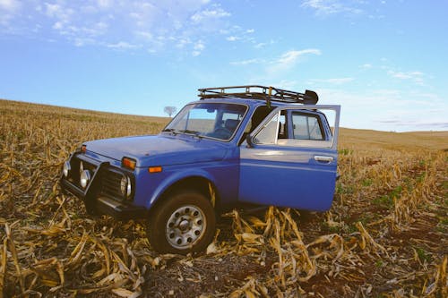 1991年, bicicleta azul, niva 的 免费素材图片