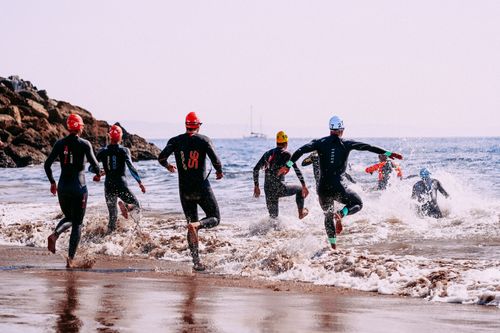 Free Back view of group of anonymous people in wetsuits and swim caps coming into wavy ocean next to slope under clear sky Stock Photo