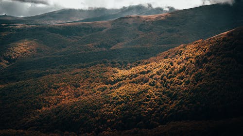 Picturesque scenery of mountainous valley covered with dense greenery and thick clouds above peaks