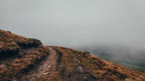 Foggy landscape of mountainous area