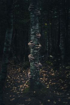 阴暗的森林中，一只神秘的手抓住树干，营造出怪异的氛围