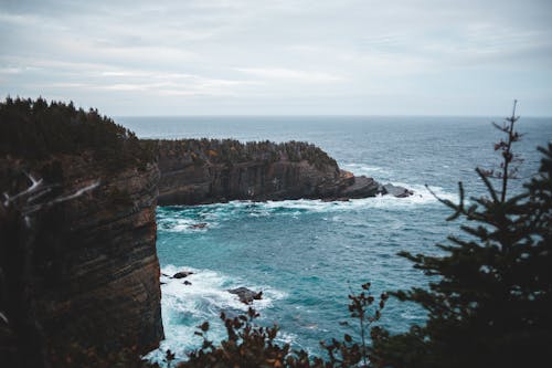 Free Rocky cliff covered with coniferous trees Stock Photo