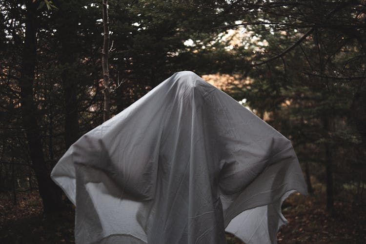 Person Wearing White Sheet In Coniferous Forest