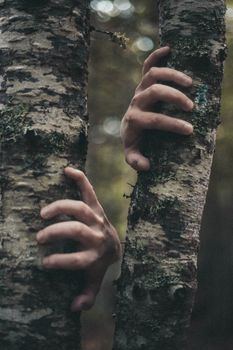 Crop anonymous person clinging to thin trunk of birch tree on blurred background of forest