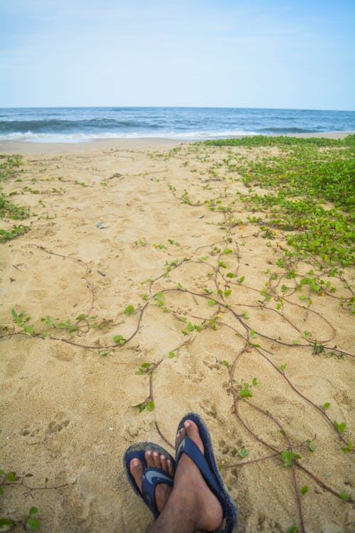 Free stock photo of beach, green, ocean Stock Photo