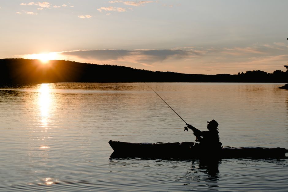Essential Guide to Fishing Clear Lake in 2025: Tips & Insights