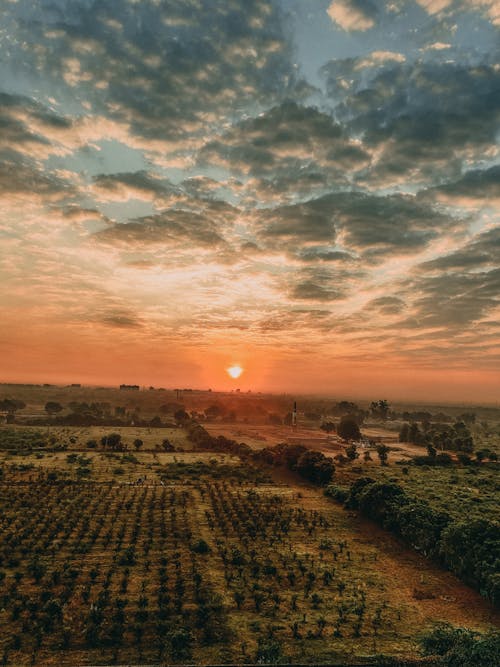 View of a Sunset over Fields