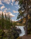 Green Pine Trees Near Waterfall