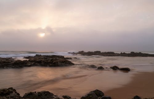 Fotobanka s bezplatnými fotkami na tému breh, delfínske pobrežie, exteriéry
