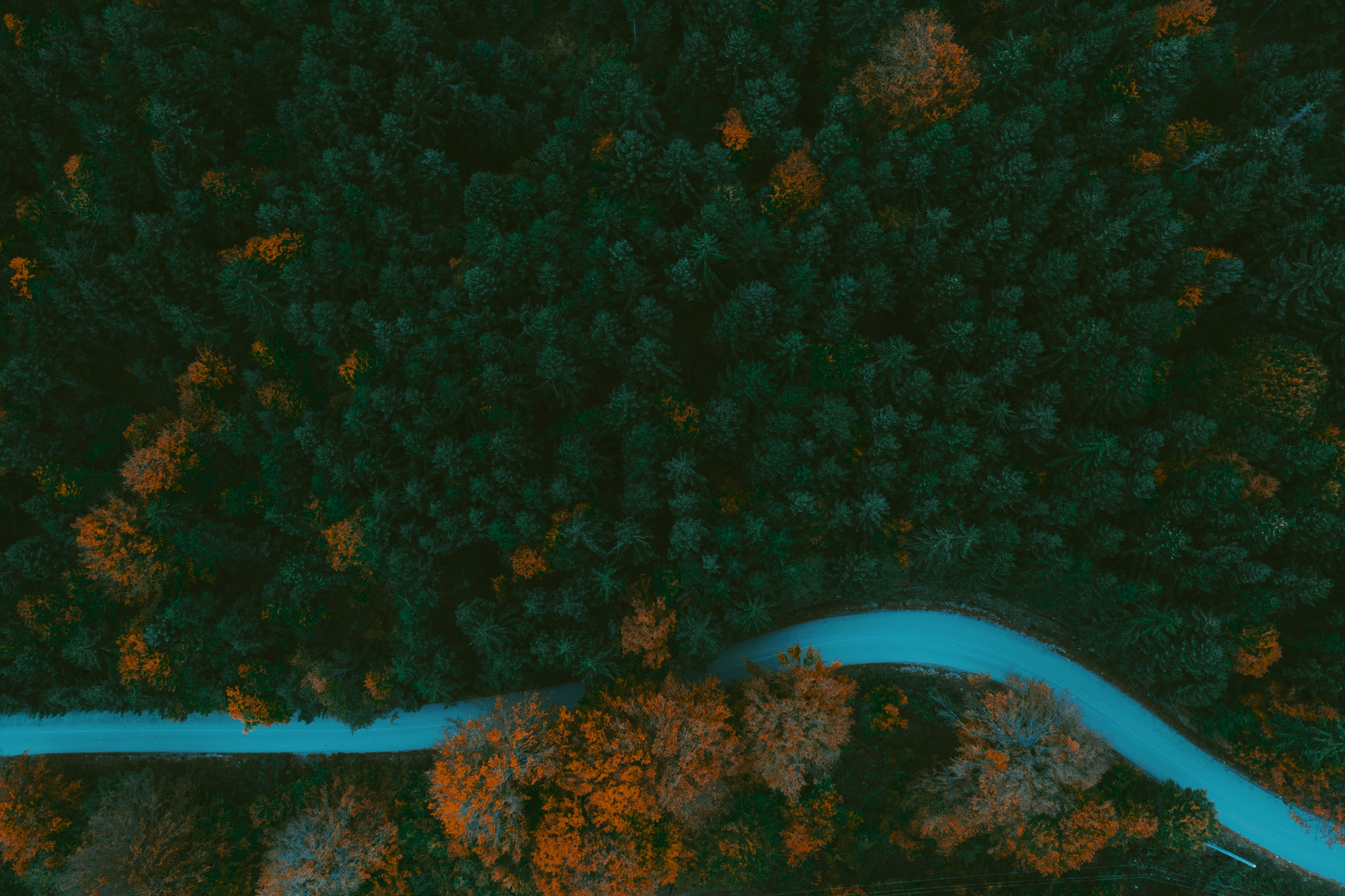 Aerial view of a winding road through a vibrant autumn forest