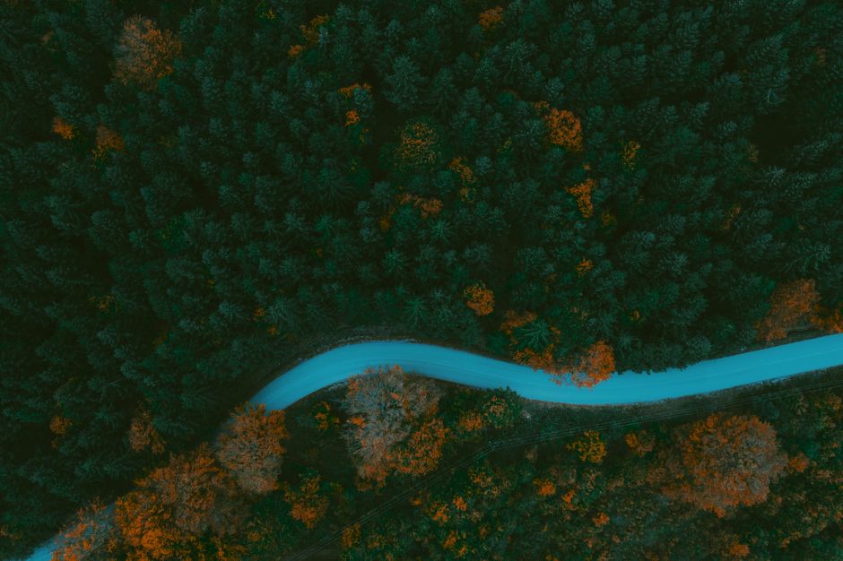 Aerial shot of a curving road through a dense autumn forest from above, showcasing fall colors.