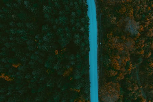 бесплатная Бесплатное стоковое фото с Аэрофотосъемка, деревья, дорога Стоковое фото