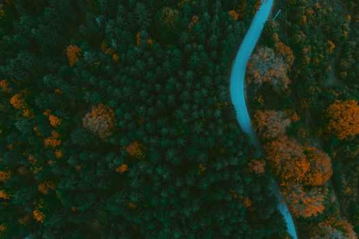 A scenic aerial view capturing a vibrant autumn forest with a winding road.