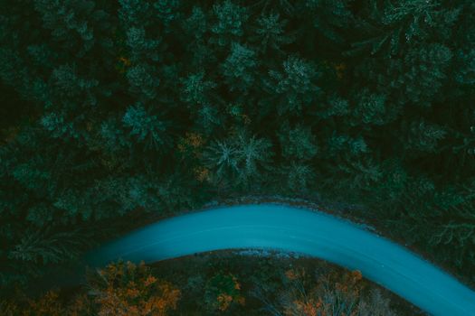 Drone shot of a winding road through a lush forest with autumn hues.