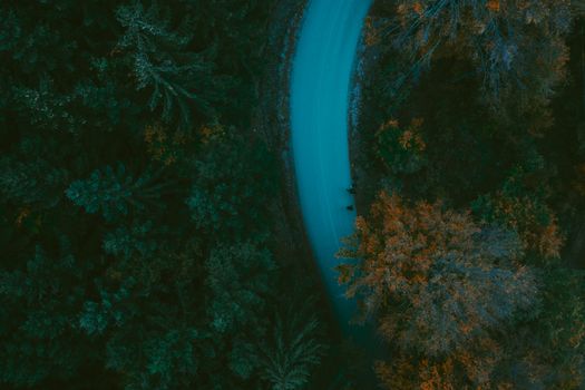 A stunning aerial perspective of a forest in autumn, featuring a winding road flanked by vibrant trees.