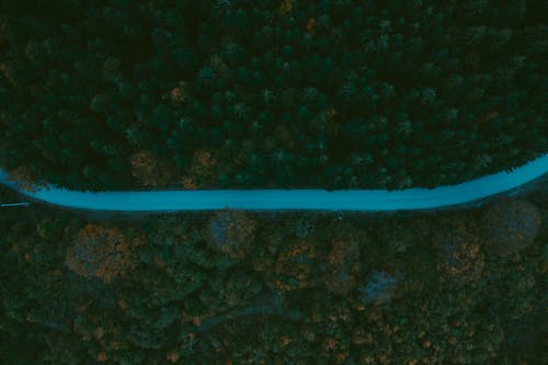 бесплатная Бесплатное стоковое фото с Аэрофотосъемка, деревья, дорога Стоковое фото