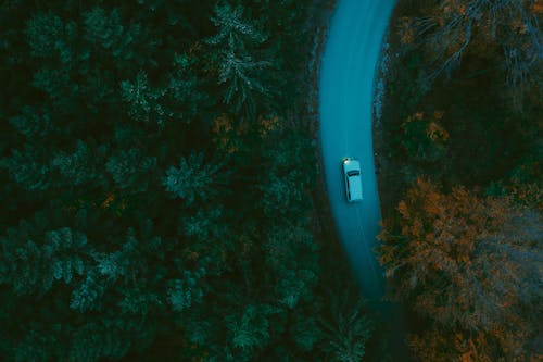 Základová fotografie zdarma na téma auto, les, letecká fotografie