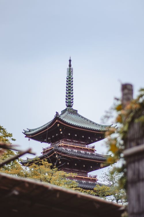 Free Serene view of a traditional pagoda in Tokyo, capturing Japanese architectural elegance. Stock Photo
